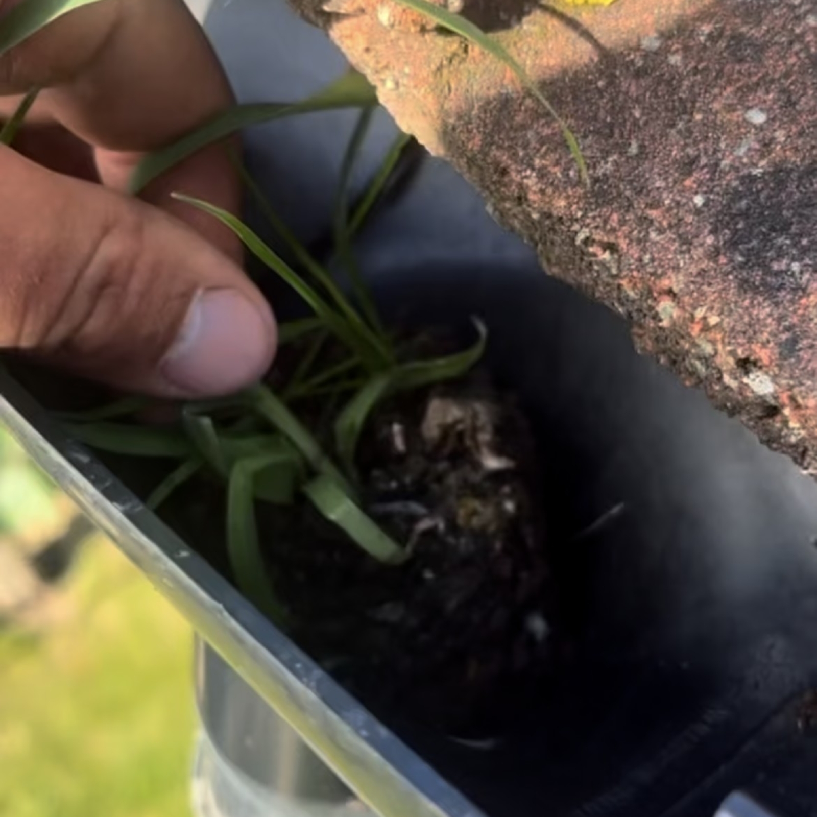 Gutter Vaccuming Norfolk