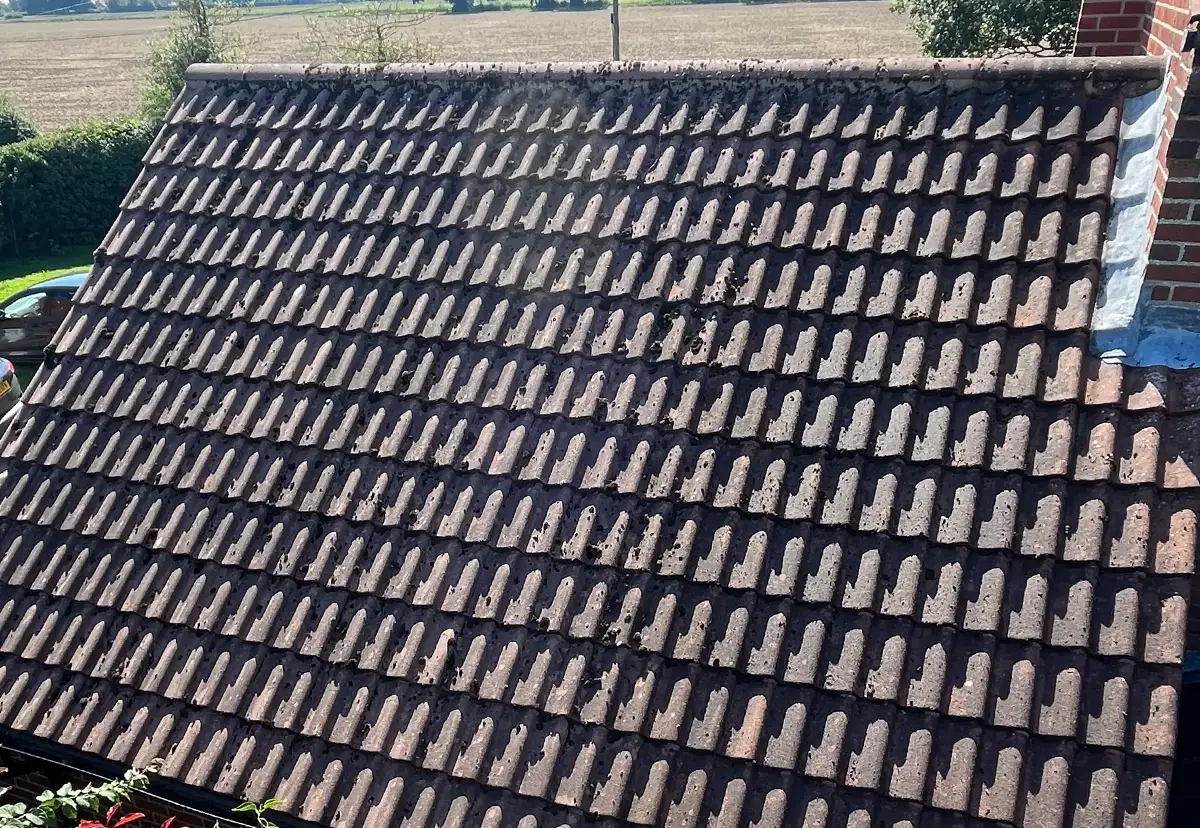Roof Clean Great Yarmouth